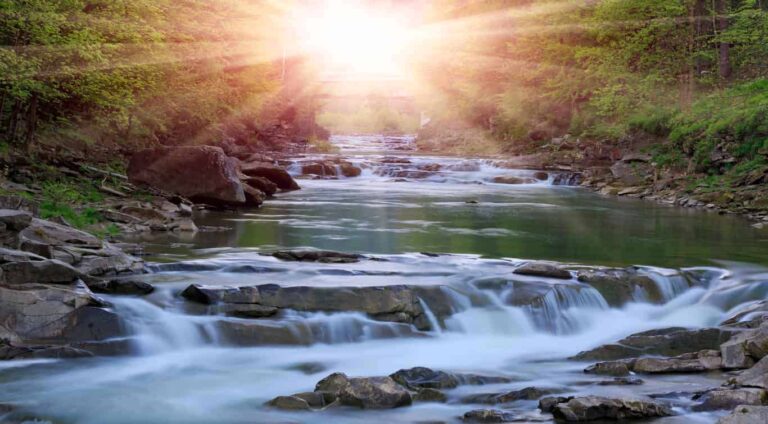 La Fuente de Agua Viva