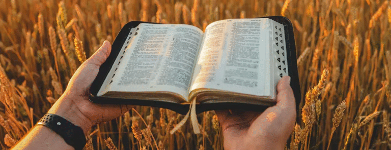El Evangelio: poder de Dios para salvar